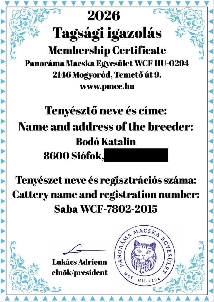 WCF 2026 Membership Certificate – Saba Birman Cattery Official Document