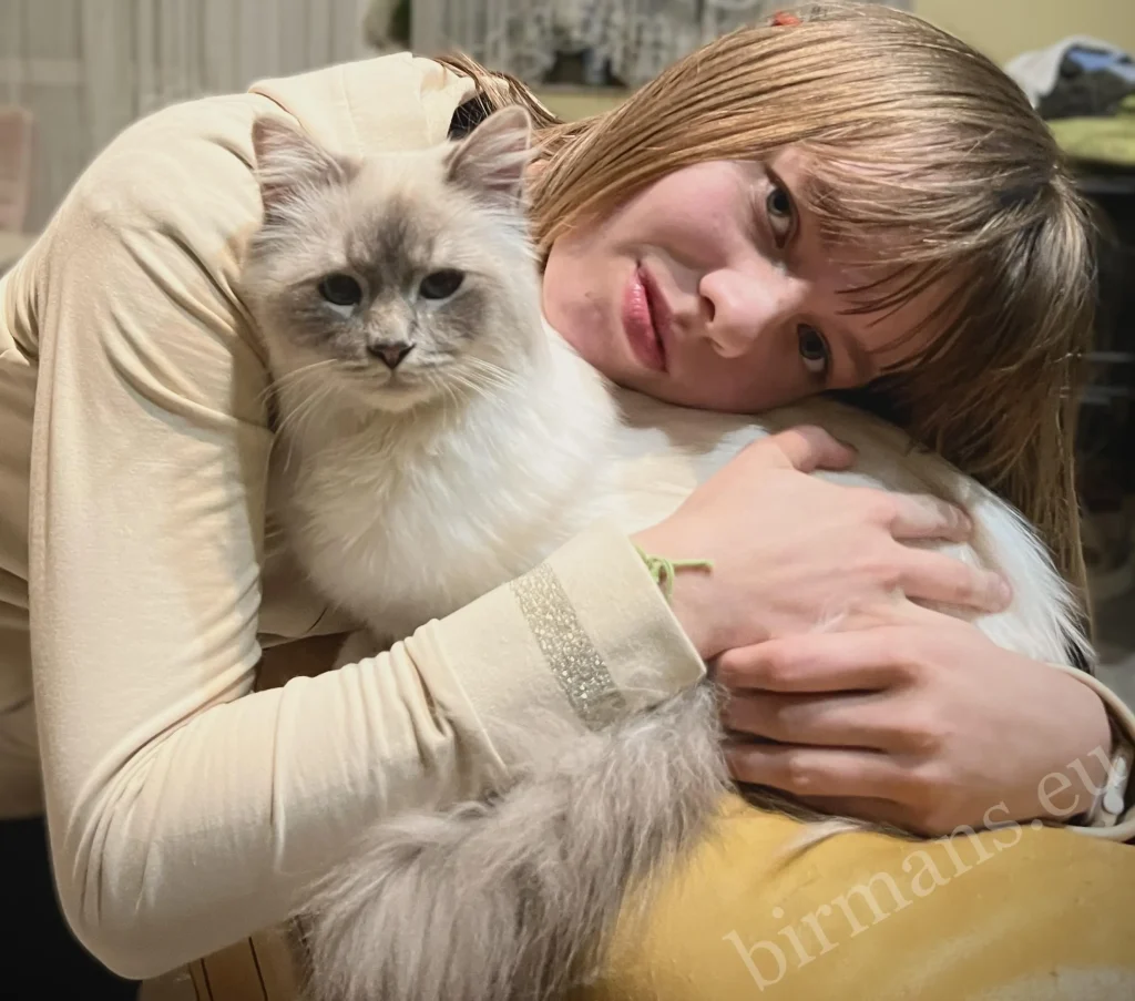 Anna and ECH European Champion Birman stud Yochi close-up portrait