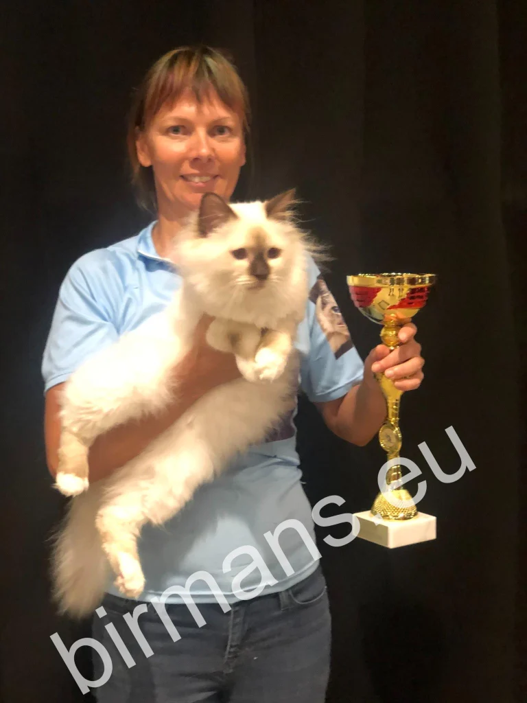 ECH Beethoven Johnnatarie E of Saba Birman Europe Champion cup in hand