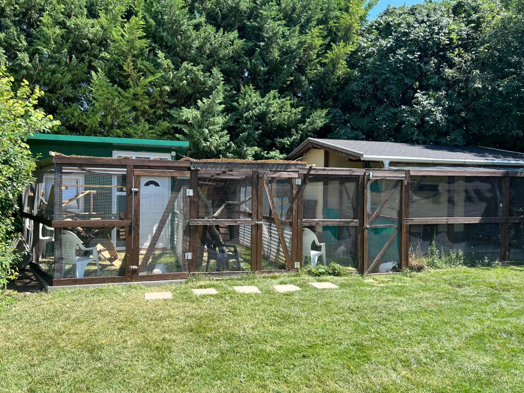 large enclosure summer picture with the green sandwich panel house on the left