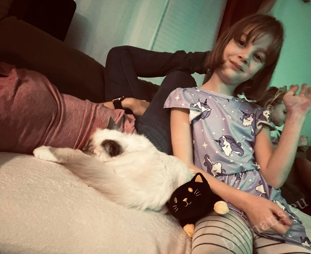 Saba Nova and Saba Noelle Birman cats with the family on the sofa in Austria – genuine customer feedback