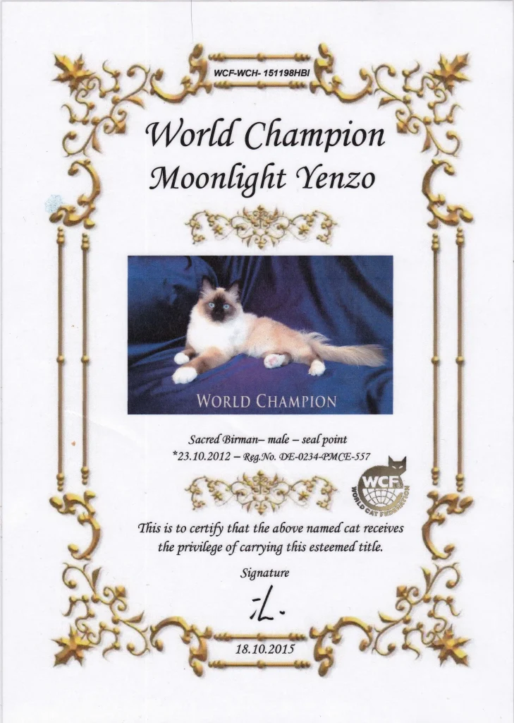 WCH Moonlight Yenzo of Saba WCF World Champion certificate – Birman cat