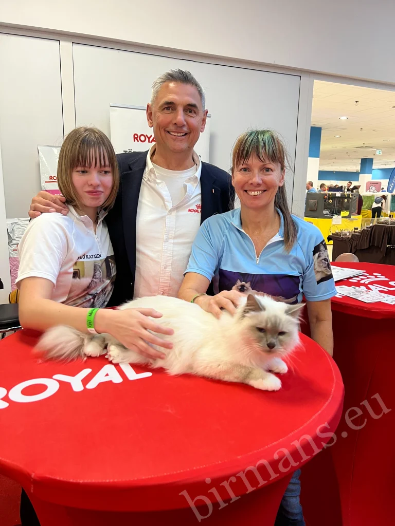 Royal Canin Podium Birman Breed Presentation, Budapest 2025, Saba Birman