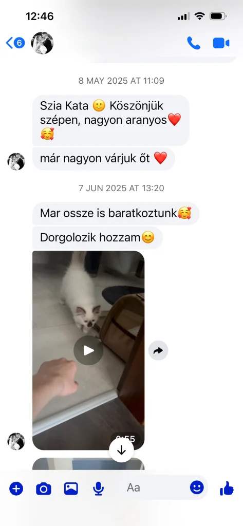 Written feedback from Saba Gigi's owner in Hungary – genuine customer review and experience