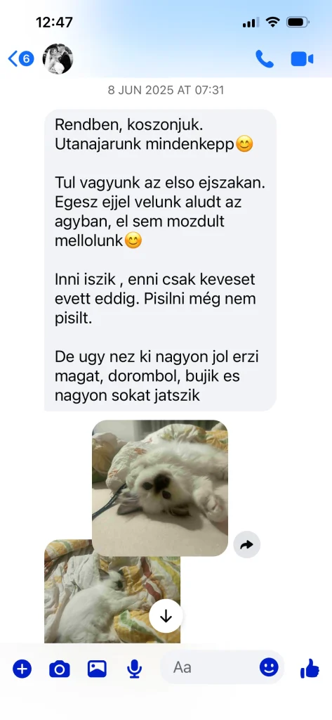 Written feedback from Saba Gigi's owner with photos – genuine customer experience in Hungary