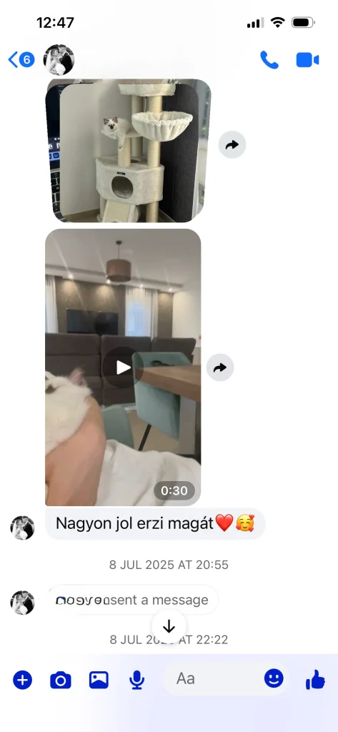 Feedback from Saba Gigi's owner with testimonial quote – genuine customer experience and home photos