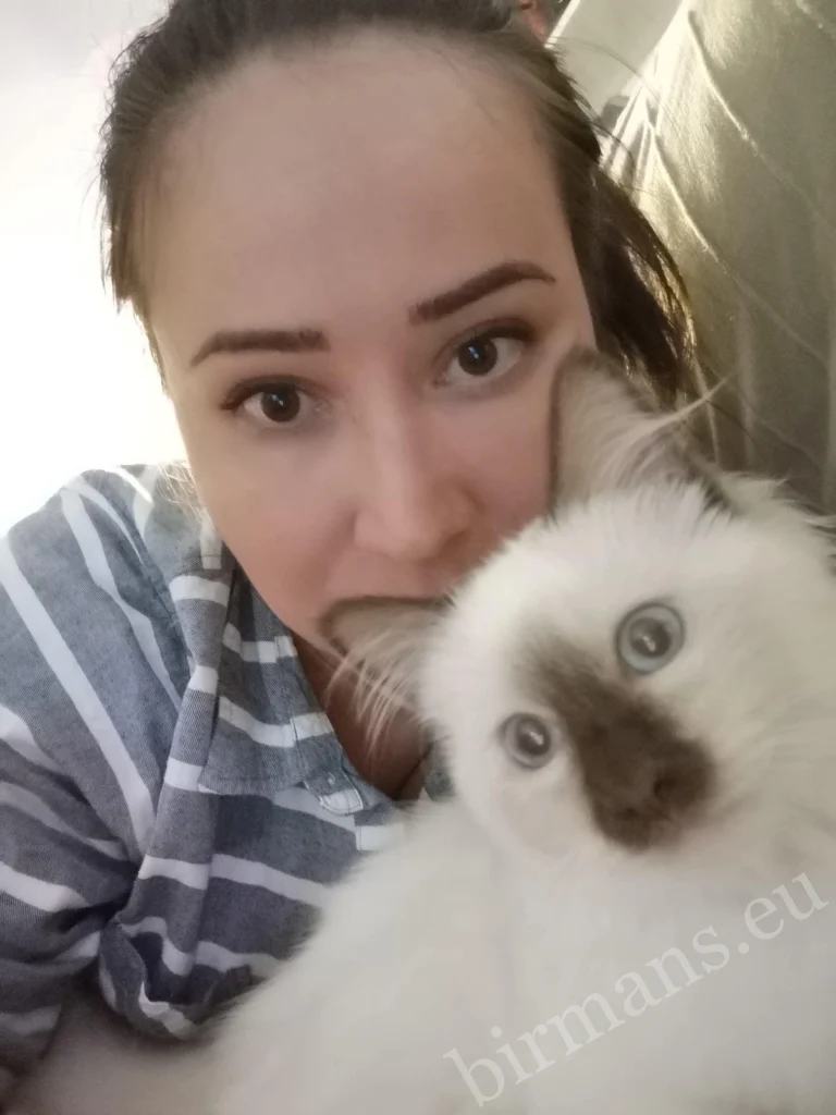 Saba Hamlet Birman cat with its owner in a portrait in Switzerland – real customer feedback