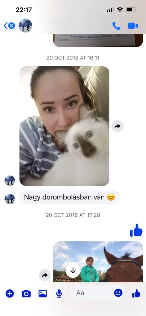 Saba Hamlet Birman cat with its owner in Switzerland – real customer feedback