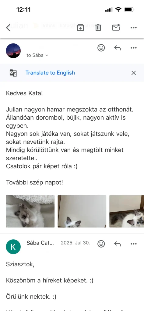Written feedback from Saba Julian's owner in Hungary – genuine customer opinion and experience
