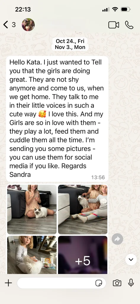 Feedback from Saba Nova and Saba Noelle's owner with photos from Austria – genuine customer experience