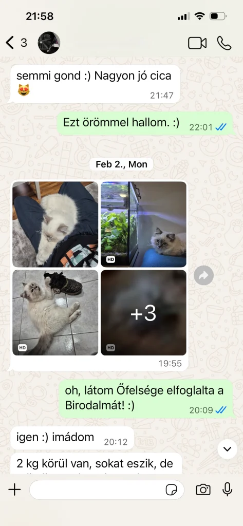 Feedback from Saba Serenity's owner with photos and testimonial quote from Austria – genuine customer experience