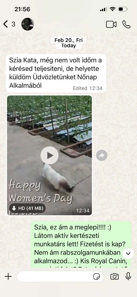 Feedback from Saba Serenity's owner with video and photos from Austria – genuine customer experience