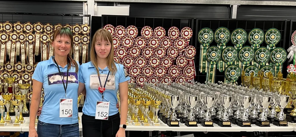 Saba Birman show preparation – Anna and breeder in competition atmosphere, international cat show