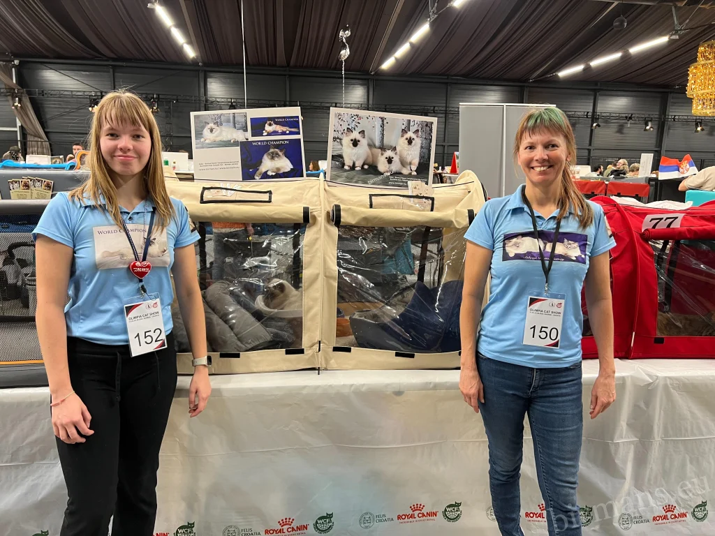 WCF international cat show – Saba Birman Cattery exhibition stand