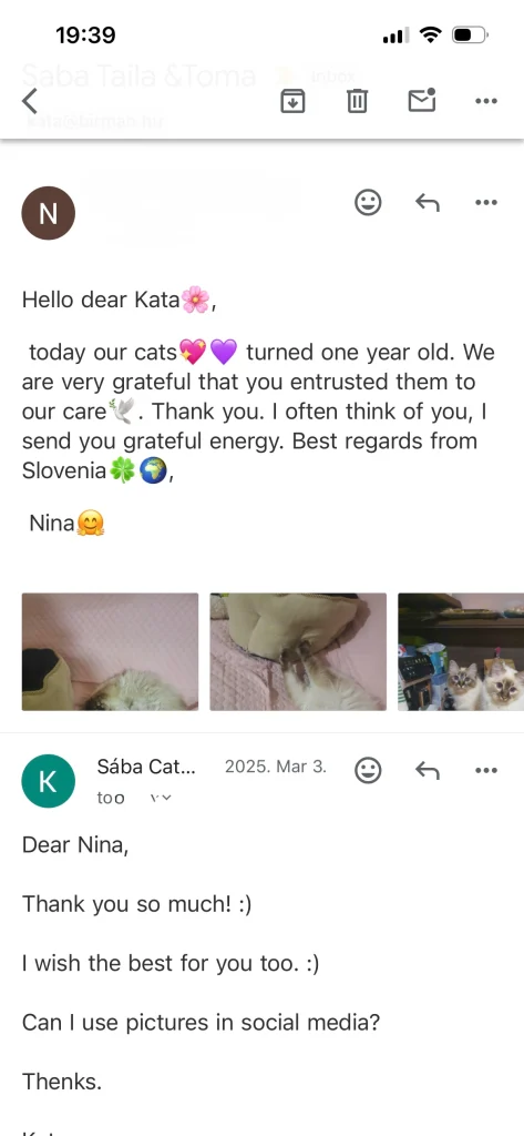 Feedback from Saba Toma and Saba Taila's owner from Slovenia – genuine customer experience