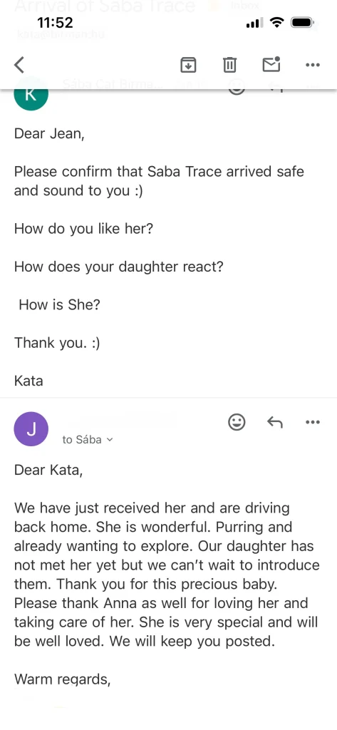 Written feedback from Saba Tracie's owner in the USA – genuine customer review and experience