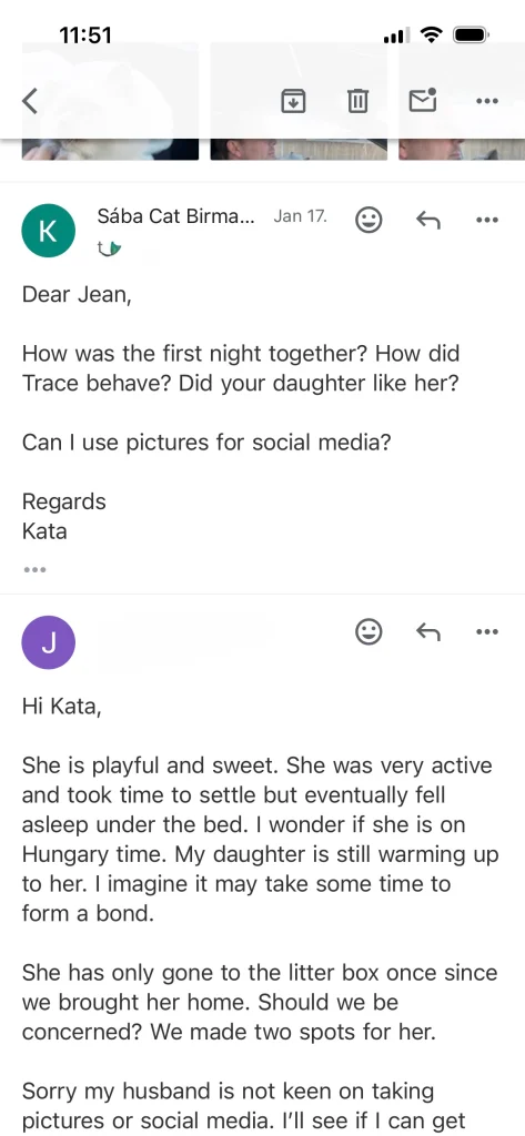 Feedback from Saba Tracie's owner with testimonial quote from the USA – genuine customer experience