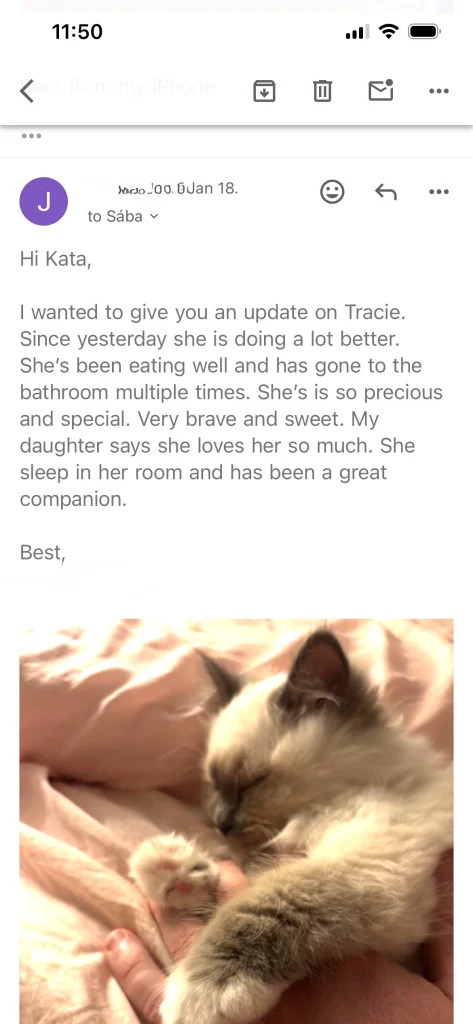 Feedback from Saba Tracie's owner with photo from the USA – genuine customer experience