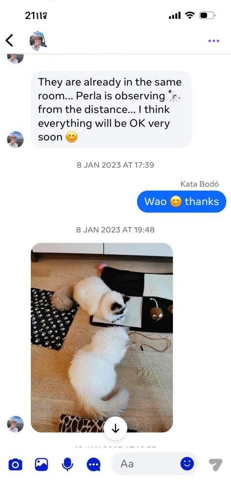 Feedback from the owner of Saba Unity (Perla) and Saba Jasper (Gasper) with pictures and text from Slovenia – real customer experience