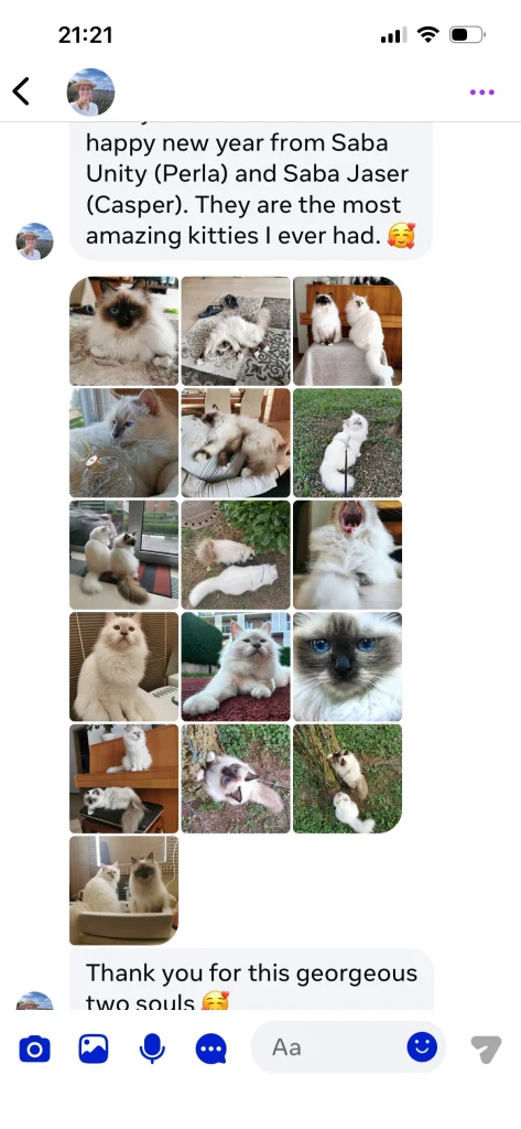 Feedback from the owner of Saba Unity (Perla) and Saba Jasper (Gasper) from Slovenia with text and multiple photos – real customer experience