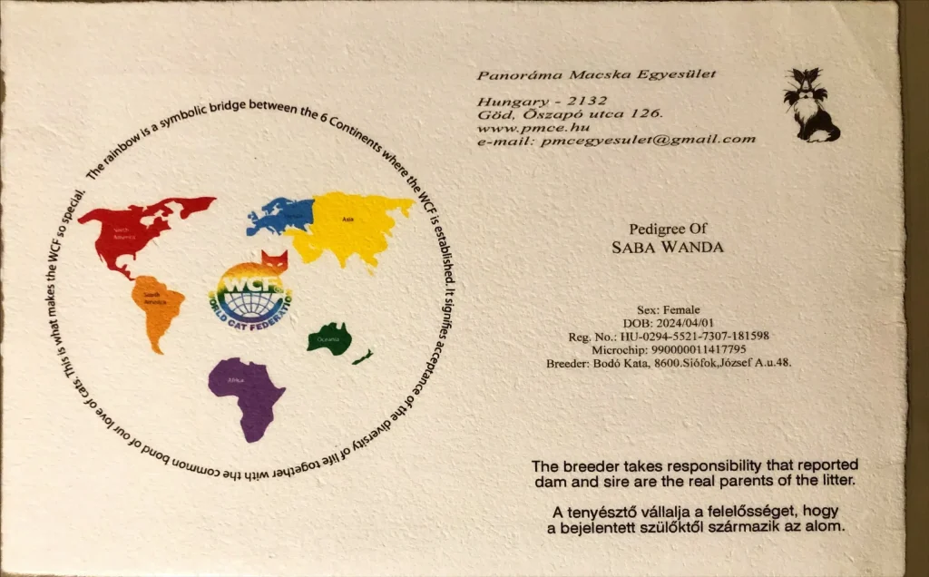 ICH Saba Wanda WCF pedigree – Birman cat official lineage document
