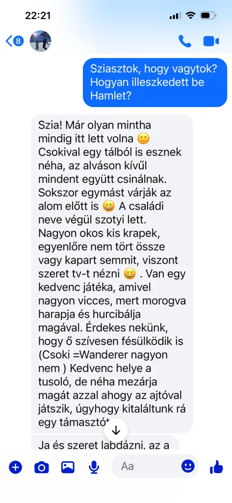 Written feedback from the owner of Saba Wanderer and Saba Hamlet from Switzerland – real customer experience