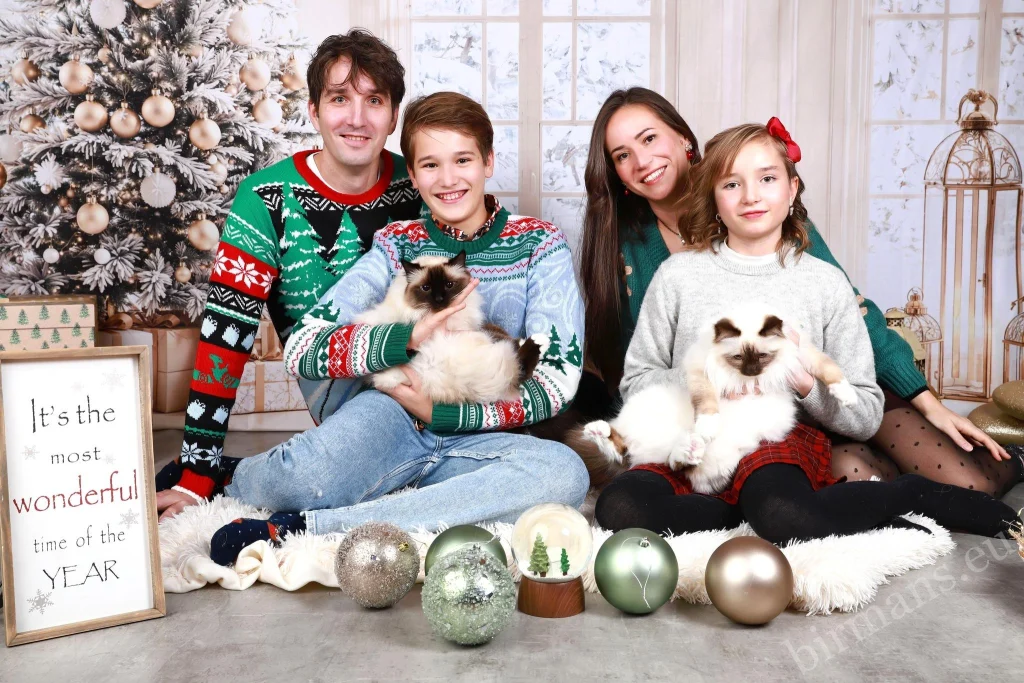 Saba Wanderer and Saba Hamlet Birman cats with the family in front of a Christmas tree in Switzerland – real customer feedback