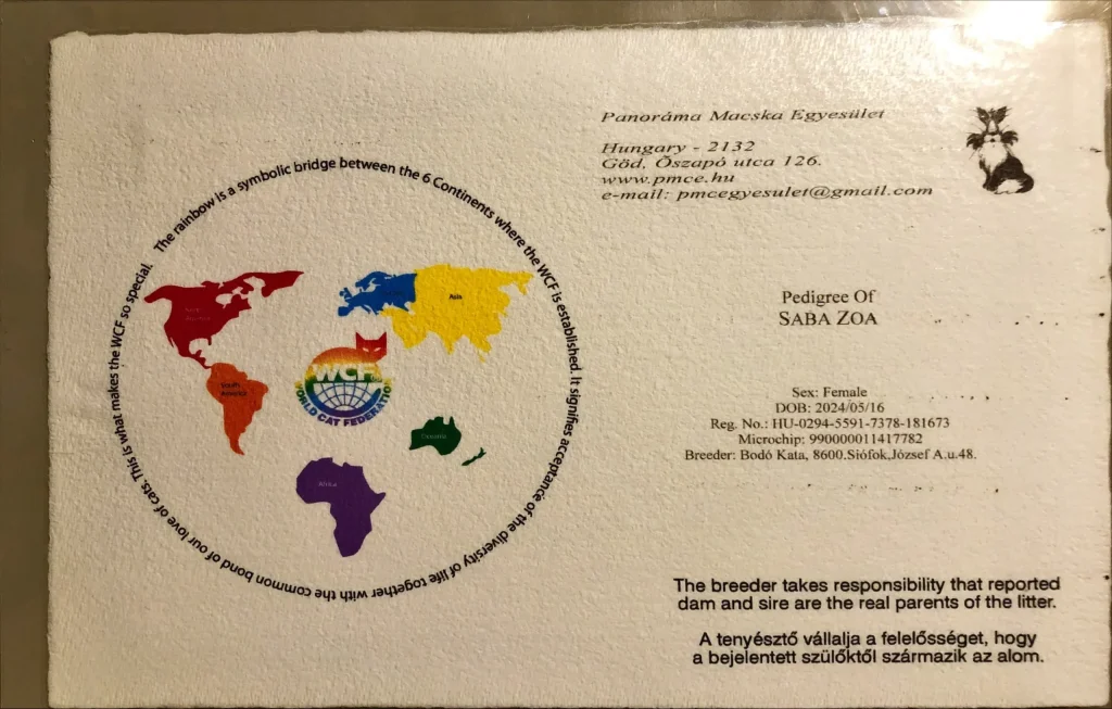 ICH Saba Zoa WCF pedigree first page – Birman cat official document