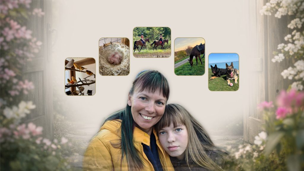 A Saba Birman tenyészet valós környezete – kert, természetes élettér és családi környezet