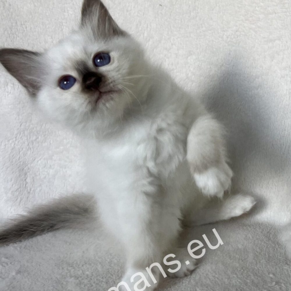 img-1905-desktop-9usfljs